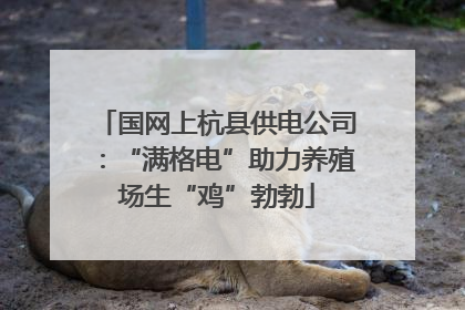 国网上杭县供电公司：“满格电”助力养殖场生“鸡”勃勃