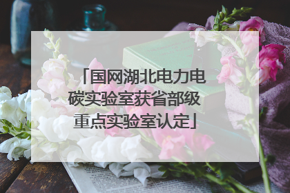国网湖北电力电碳实验室获省部级重点实验室认定
