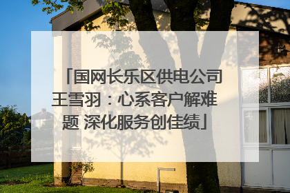 国网长乐区供电公司王雪羽：心系客户解难题 深化服务创佳绩