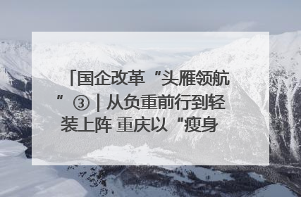 国企改革“头雁领航”③｜从负重前行到轻装上阵 重庆以“瘦身”谋“健体”