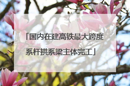 国内在建高铁最大跨度系杆拱系梁主体完工