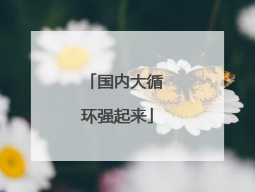 国内大循环强起来