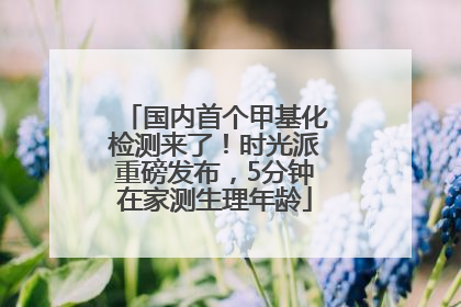 国内首个甲基化检测来了！时光派重磅发布，5分钟在家测生理年龄