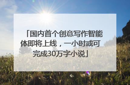 国内首个创意写作智能体即将上线，一小时或可完成30万字小说