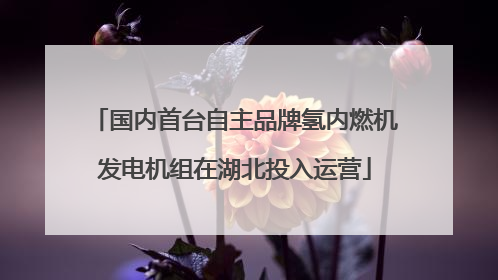 国内首台自主品牌氢内燃机发电机组在湖北投入运营