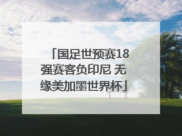 国足世预赛18强赛客负印尼 无缘美加墨世界杯