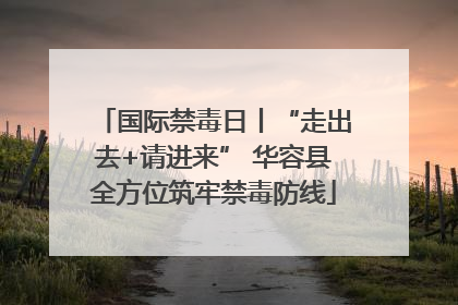 国际禁毒日丨“走出去+请进来” 华容县全方位筑牢禁毒防线