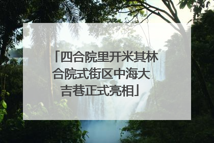四合院里开米其林 合院式街区中海大吉巷正式亮相