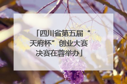 四川省第五届“天府杯”创业大赛决赛在蓉举办