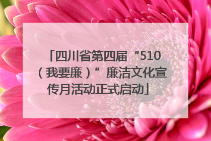 四川省第四届“510（我要廉）”廉洁文化宣传月活动正式启动