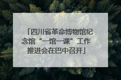四川省革命博物馆纪念馆“一馆一课”工作推进会在巴中召开