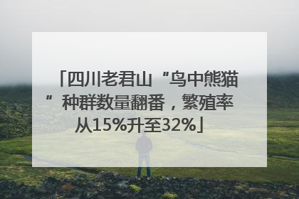 四川老君山“鸟中熊猫”种群数量翻番，繁殖率从15%升至32%
