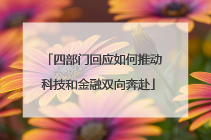 四部门回应如何推动科技和金融双向奔赴