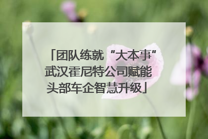 团队练就“大本事” 武汉霍尼特公司赋能头部车企智慧升级