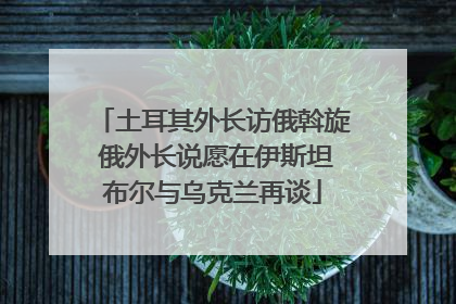 土耳其外长访俄斡旋 俄外长说愿在伊斯坦布尔与乌克兰再谈