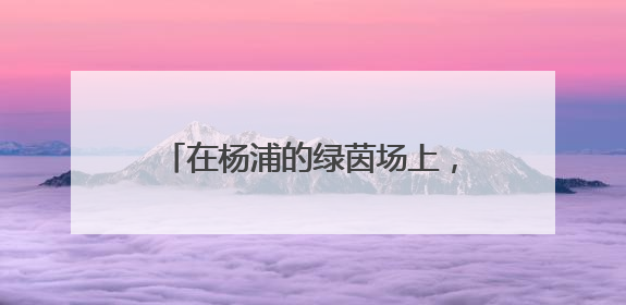 在杨浦的绿茵场上，踢出更多足球小将