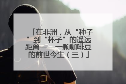 在非洲，从“种子”到“杯子”的遥远距离——一颗咖啡豆的前世今生（三）