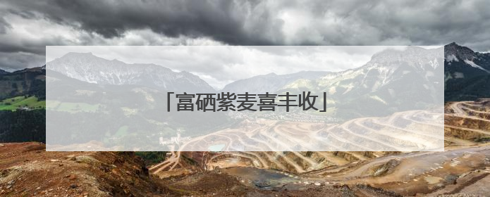 富硒紫麦喜丰收