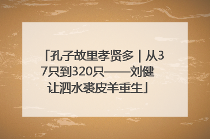孔子故里孝贤多｜从37只到320只——刘健让泗水裘皮羊重生