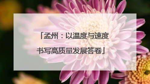 孟州：以温度与速度书写高质量发展答卷