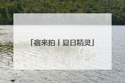 宿来拍丨夏日精灵