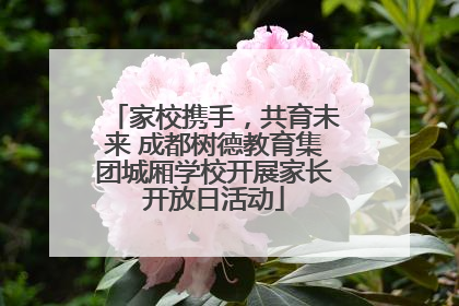 家校携手，共育未来 成都树德教育集团城厢学校开展家长开放日活动