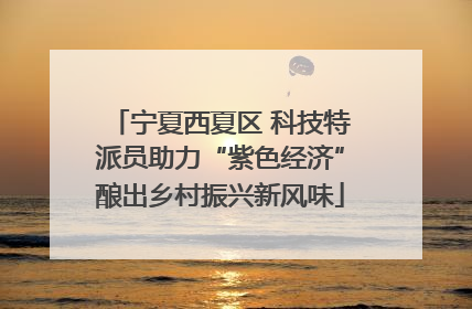 宁夏西夏区 科技特派员助力“紫色经济”酿出乡村振兴新风味