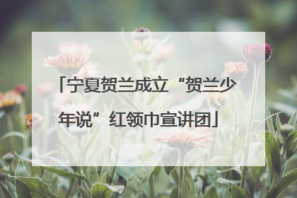 宁夏贺兰成立“贺兰少年说”红领巾宣讲团