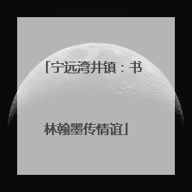 宁远湾井镇：书林翰墨传情谊