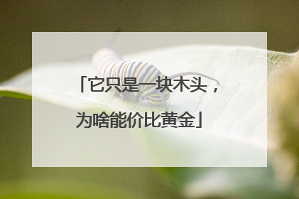 它只是一块木头，为啥能价比黄金