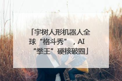 宇树人形机器人全球“格斗秀”，AI“拳王”硬核破圈