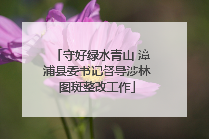 守好绿水青山 漳浦县委书记督导涉林图斑整改工作