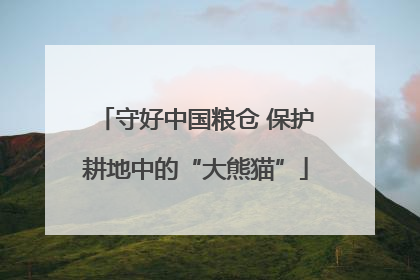 守好中国粮仓 保护耕地中的“大熊猫”