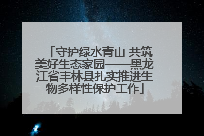 守护绿水青山 共筑美好生态家园——黑龙江省丰林县扎实推进生物多样性保护工作