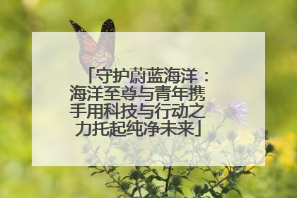 守护蔚蓝海洋：海洋至尊与青年携手用科技与行动之力托起纯净未来