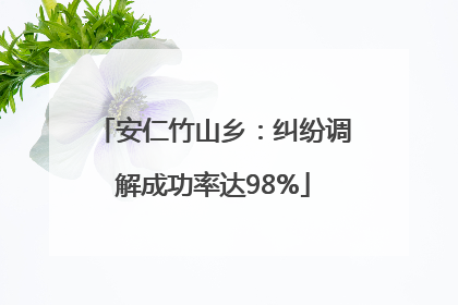 安仁竹山乡：纠纷调解成功率达98%