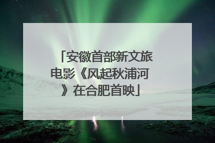 安徽首部新文旅电影《风起秋浦河》在合肥首映
