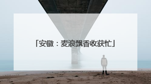 安徽：麦浪飘香收获忙