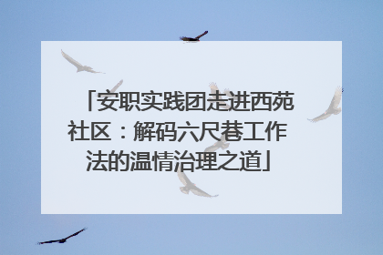 安职实践团走进西苑社区：解码六尺巷工作法的温情治理之道