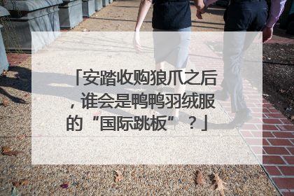 安踏收购狼爪之后，谁会是鸭鸭羽绒服的“国际跳板”？