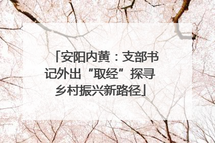 安阳内黄：支部书记外出“取经”探寻乡村振兴新路径
