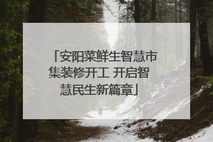 安阳菜鲜生智慧市集装修开工 开启智慧民生新篇章