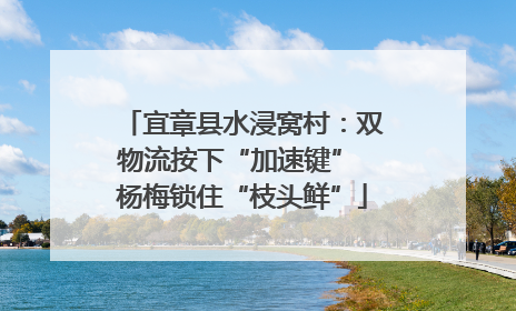 宜章县水浸窝村：双物流按下“加速键” 杨梅锁住“枝头鲜”