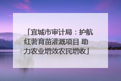 宜城市审计局：护航红薯育苗灌溉项目 助力农业增效农民增收