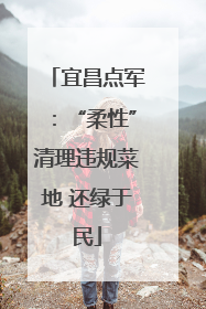 宜昌点军：“柔性”清理违规菜地 还绿于民