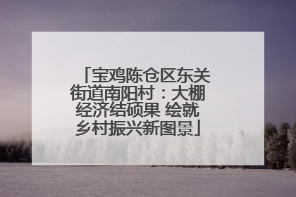 宝鸡陈仓区东关街道南阳村：大棚经济结硕果 绘就乡村振兴新图景