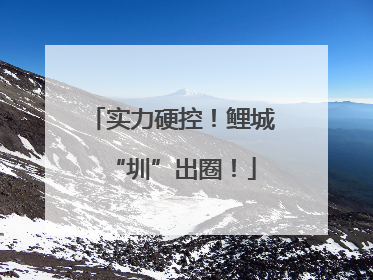实力硬控！鲤城“圳”出圈！