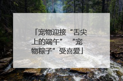 宠物迎接“舌尖上的端午” “宠物粽子”受喜爱