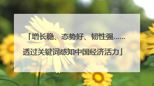增长稳、态势好、韧性强……透过关键词感知中国经济活力