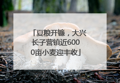 夏粮开镰，大兴长子营镇近6000亩小麦迎丰收